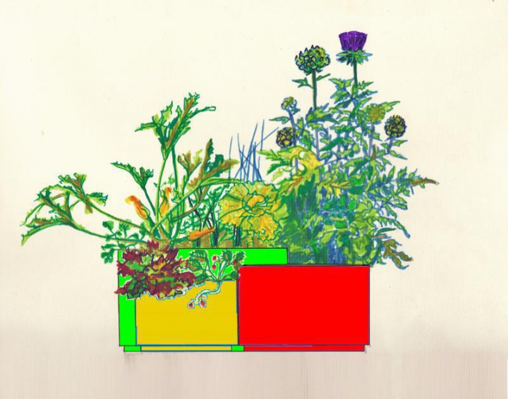 Carré potager multibacs Soja